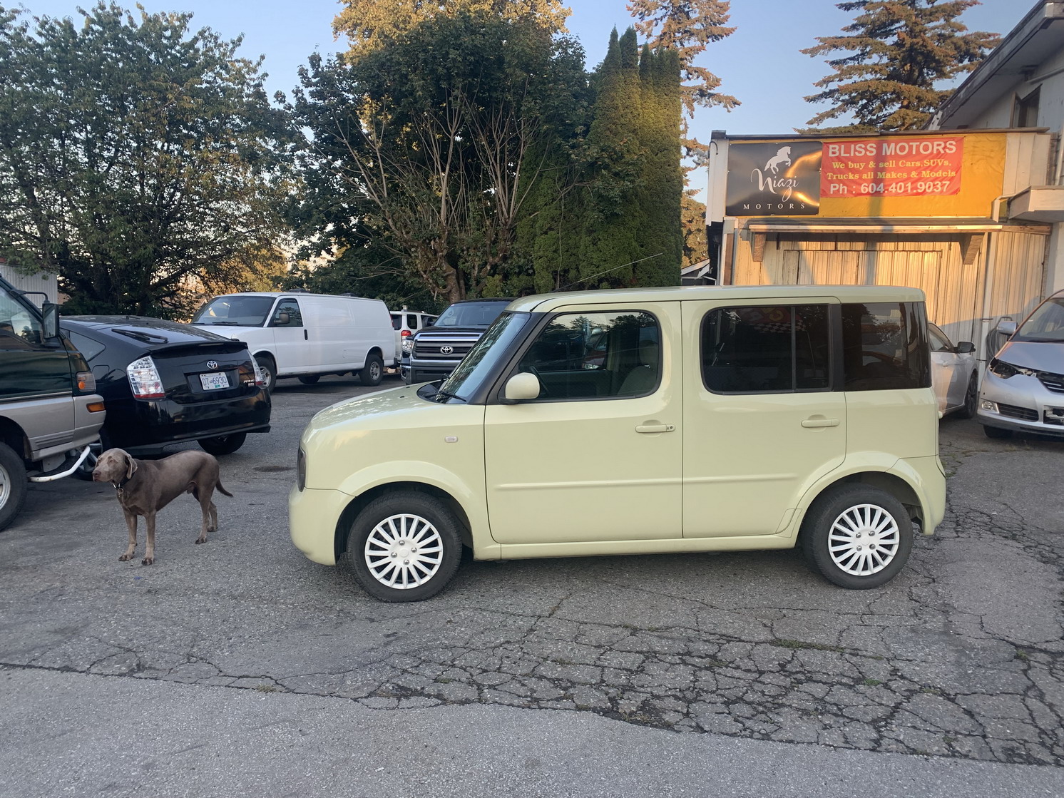 nissan cube