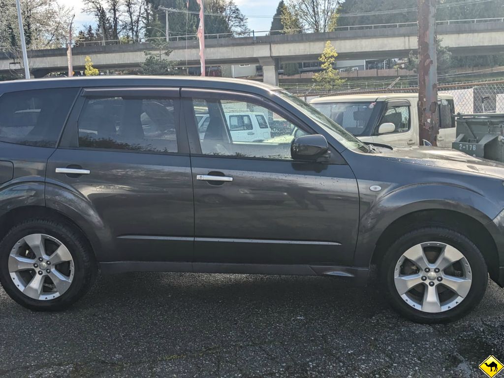 campers and camper van